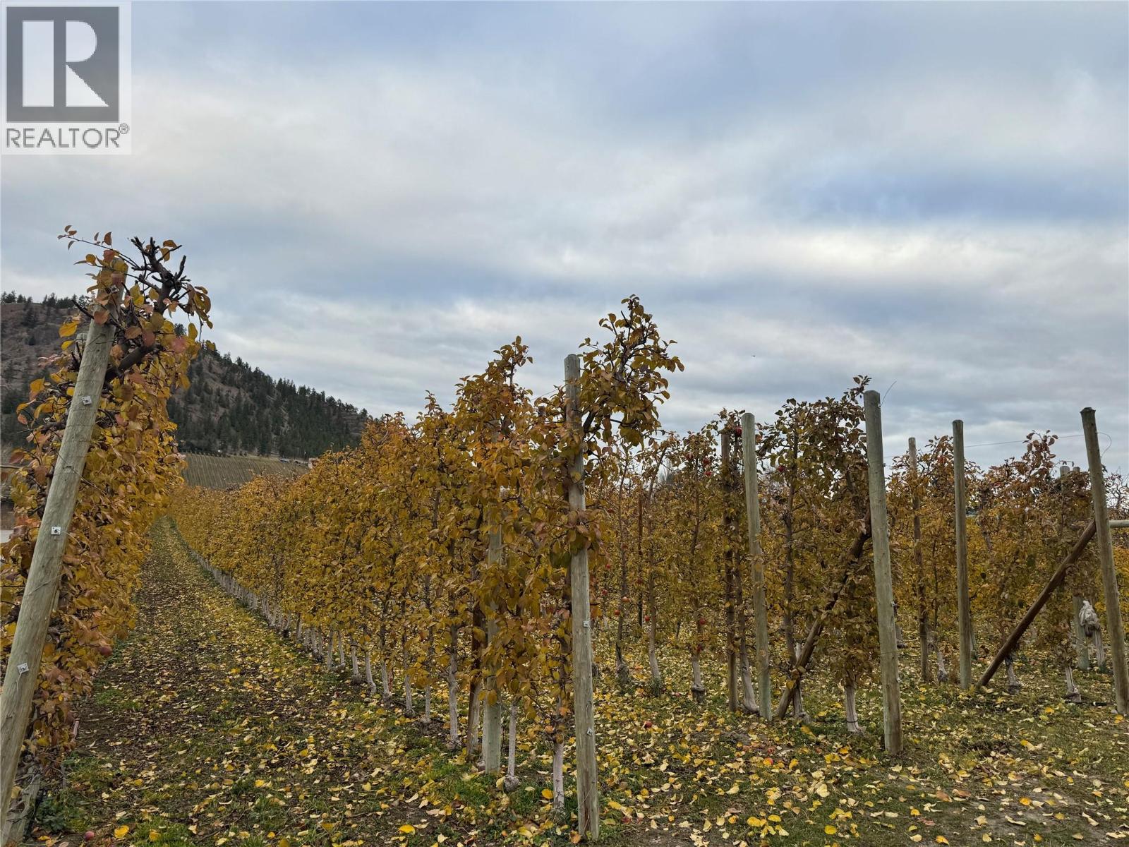 5803 Lewes Avenue, Summerland, British Columbia  V0H 1Z2 - Photo 2 - 10369801