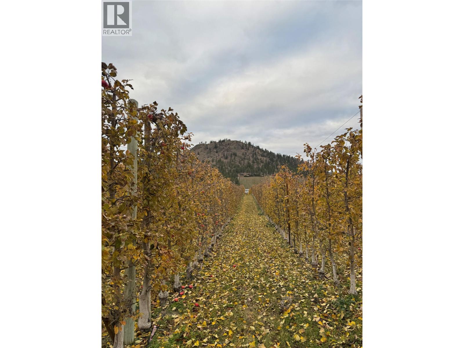 5803 Lewes Avenue, Summerland, British Columbia  V0H 1Z2 - Photo 3 - 10369801