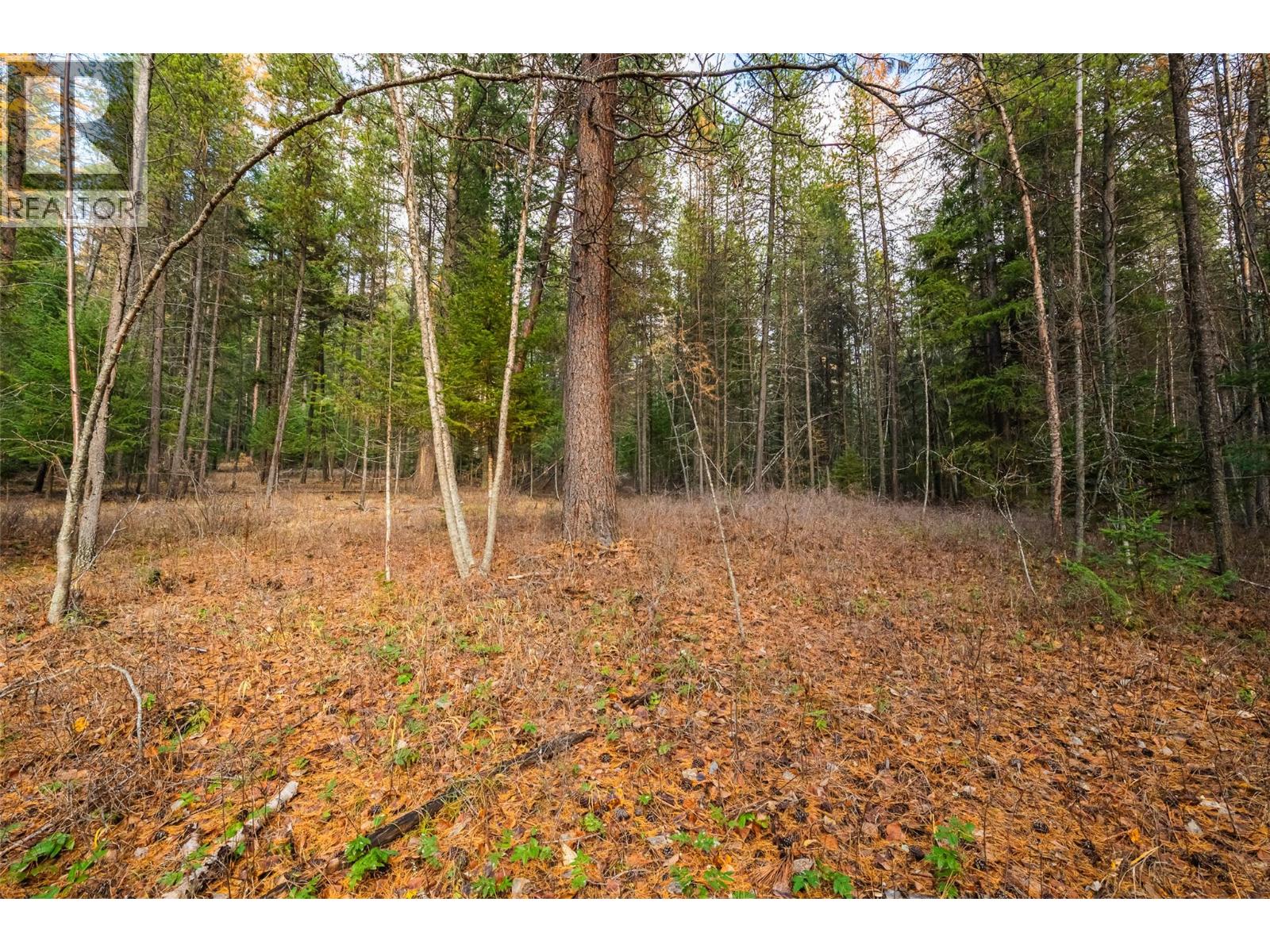 8667 Yahk Settlement Road, Yahk, British Columbia  V0B 2P0 - Photo 11 - 10369909