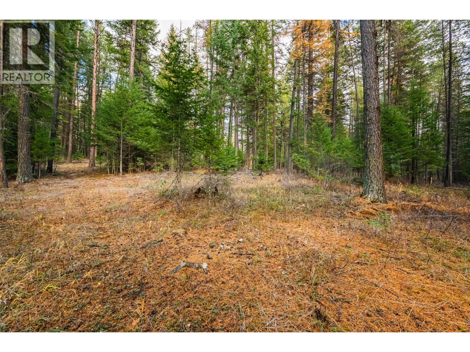 8667 Yahk Settlement Road, Yahk, British Columbia  V0B 2P0 - Photo 12 - 10369909