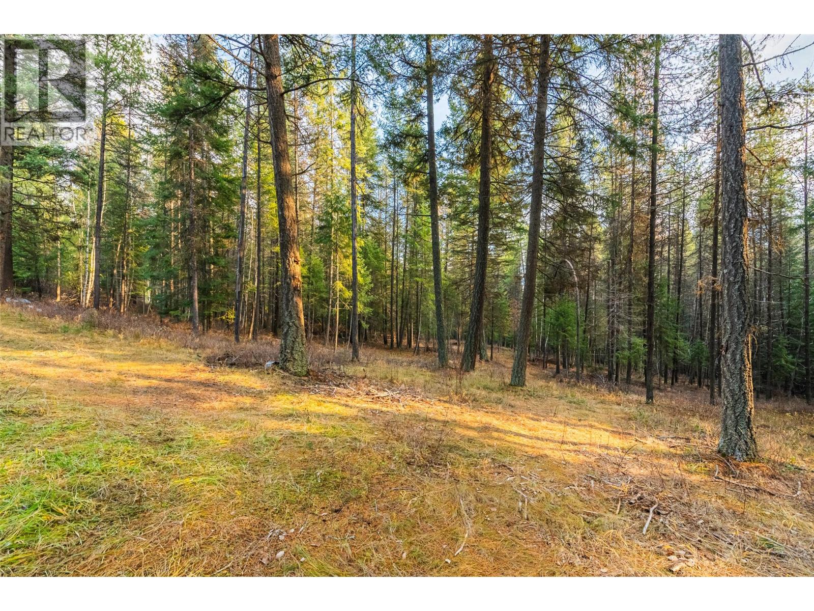 8667 Yahk Settlement Road, Yahk, British Columbia  V0B 2P0 - Photo 14 - 10369909