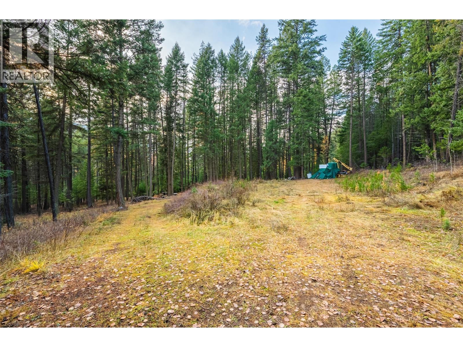 8667 Yahk Settlement Road, Yahk, British Columbia  V0B 2P0 - Photo 15 - 10369909