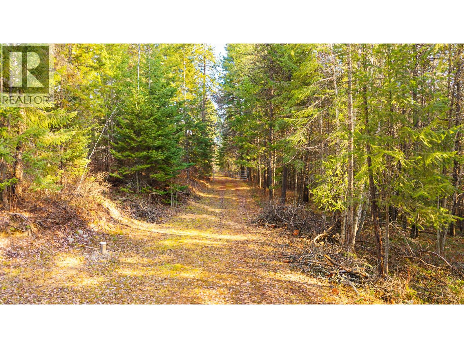 8667 Yahk Settlement Road, Yahk, British Columbia  V0B 2P0 - Photo 29 - 10369909