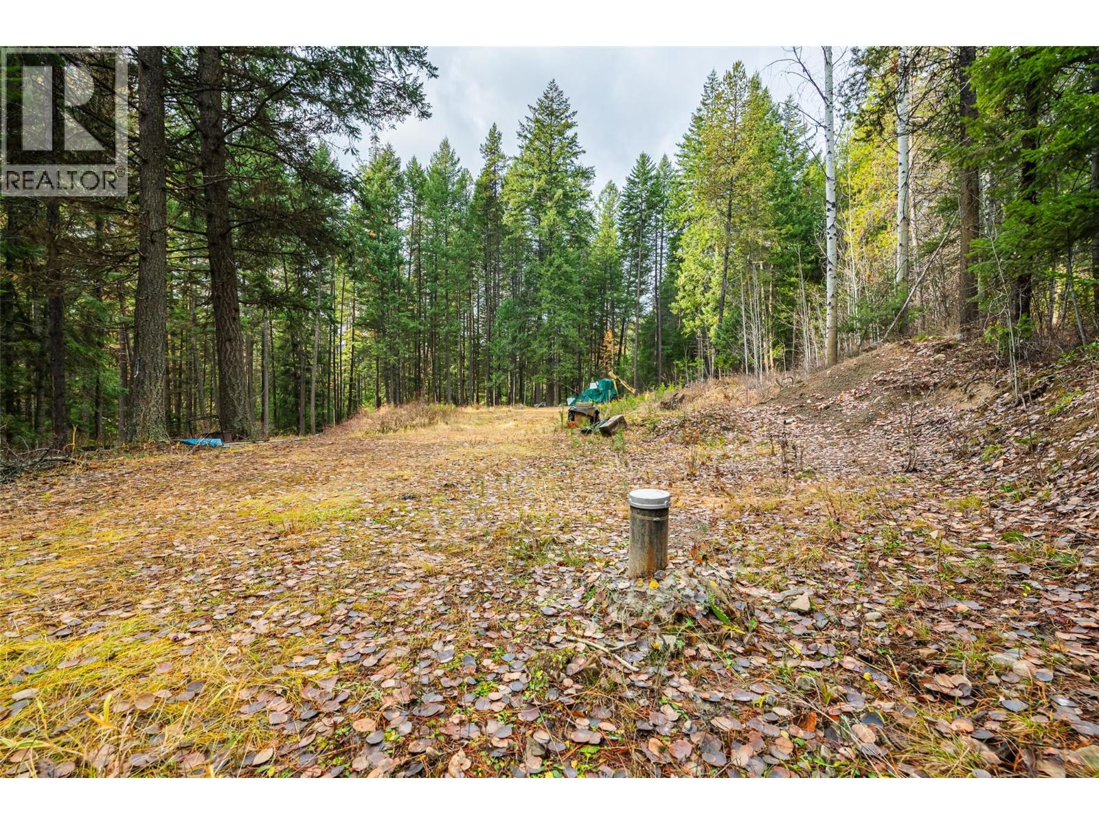 8667 Yahk Settlement Road, Yahk, British Columbia  V0B 2P0 - Photo 3 - 10369909