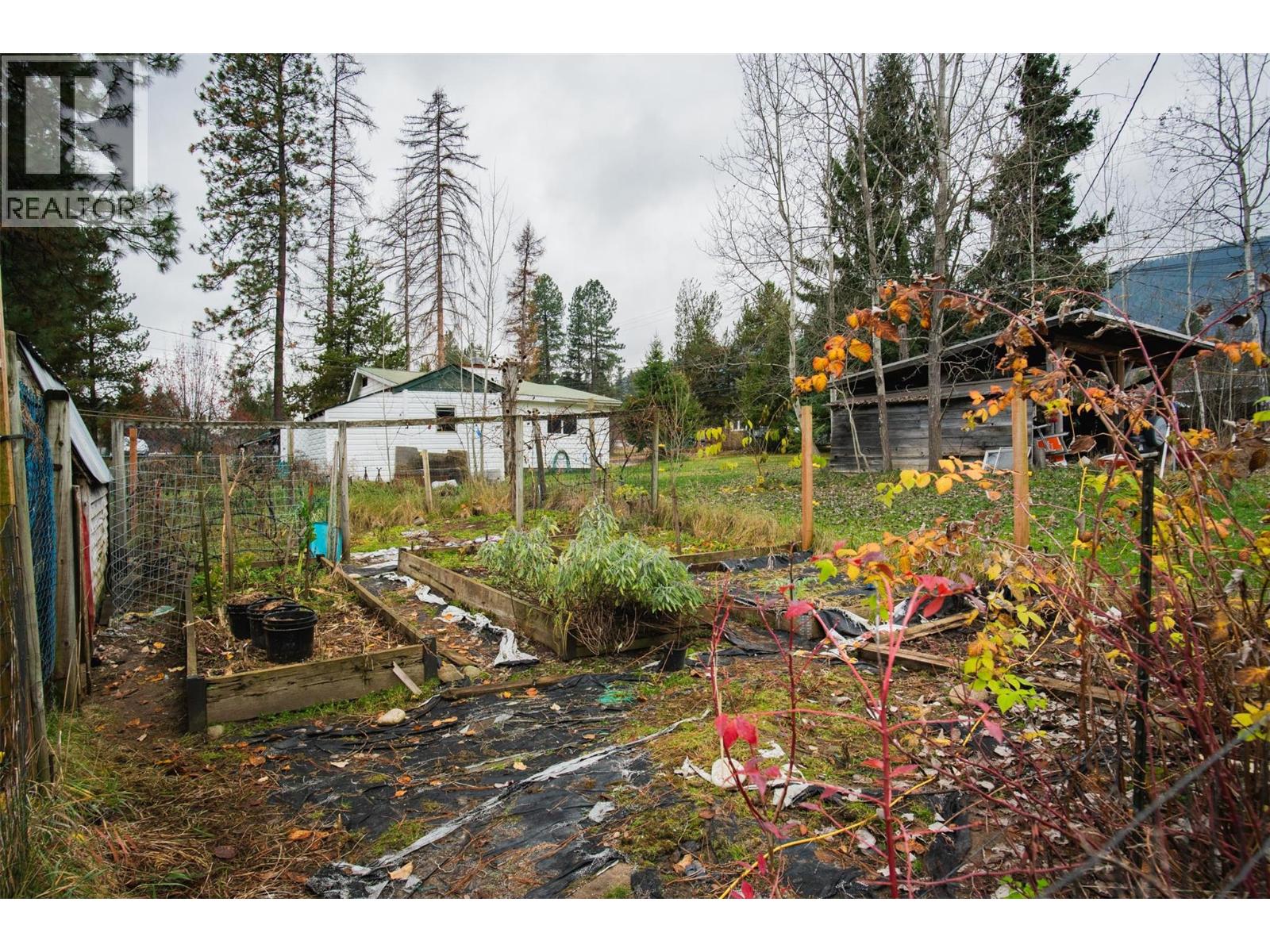 810a 16th Avenue, Genelle, British Columbia  V0G 1G0 - Photo 31 - 10369865
