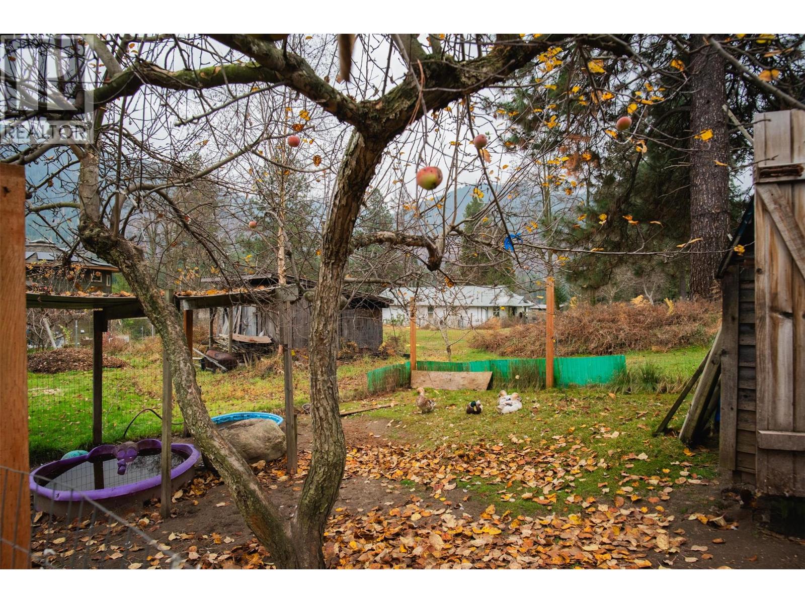 810a 16th Avenue, Genelle, British Columbia  V0G 1G0 - Photo 34 - 10369865