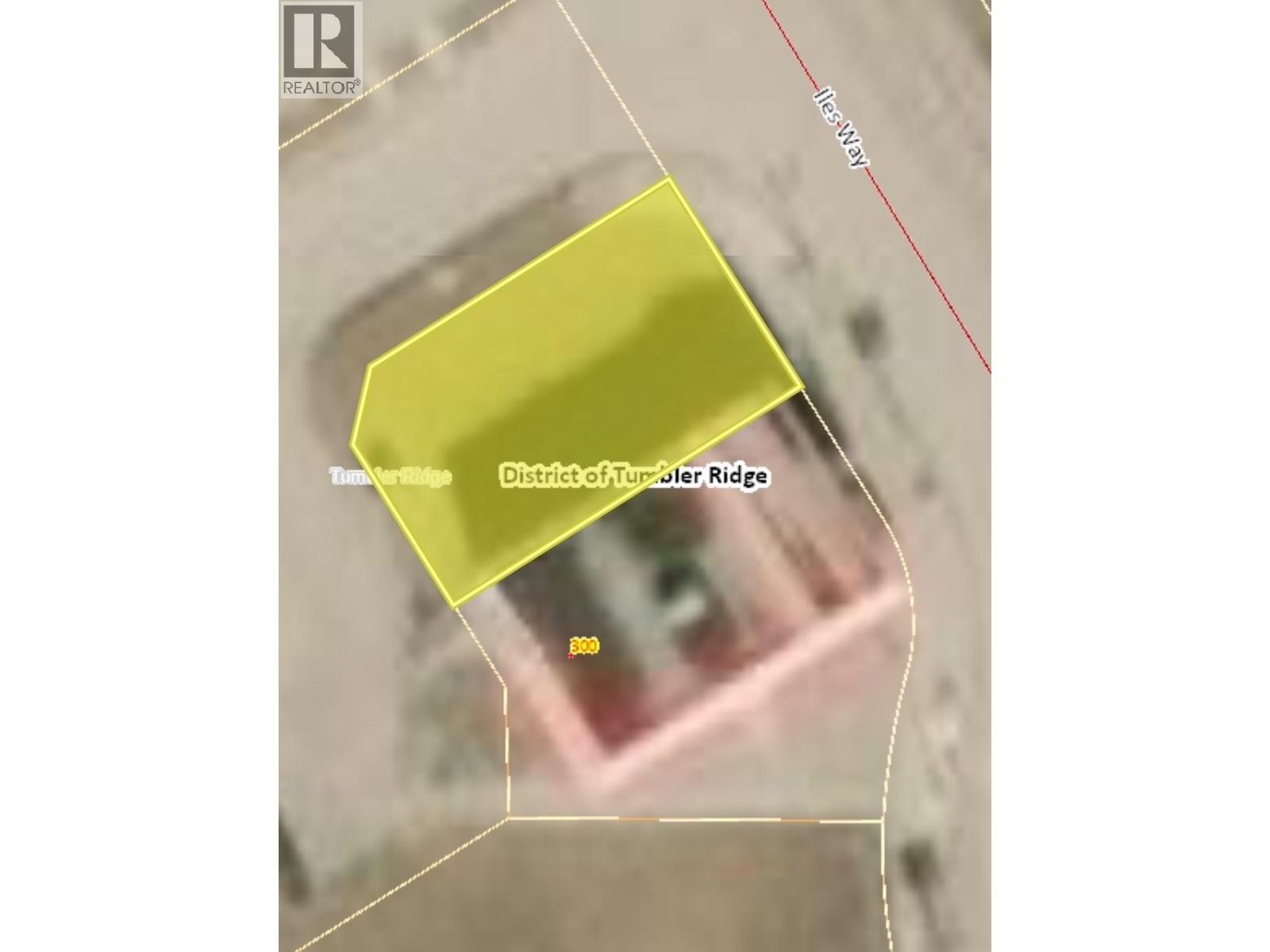 310 Iles Way, Tumbler Ridge, British Columbia  V0C 2W0 - Photo 12 - 10370020
