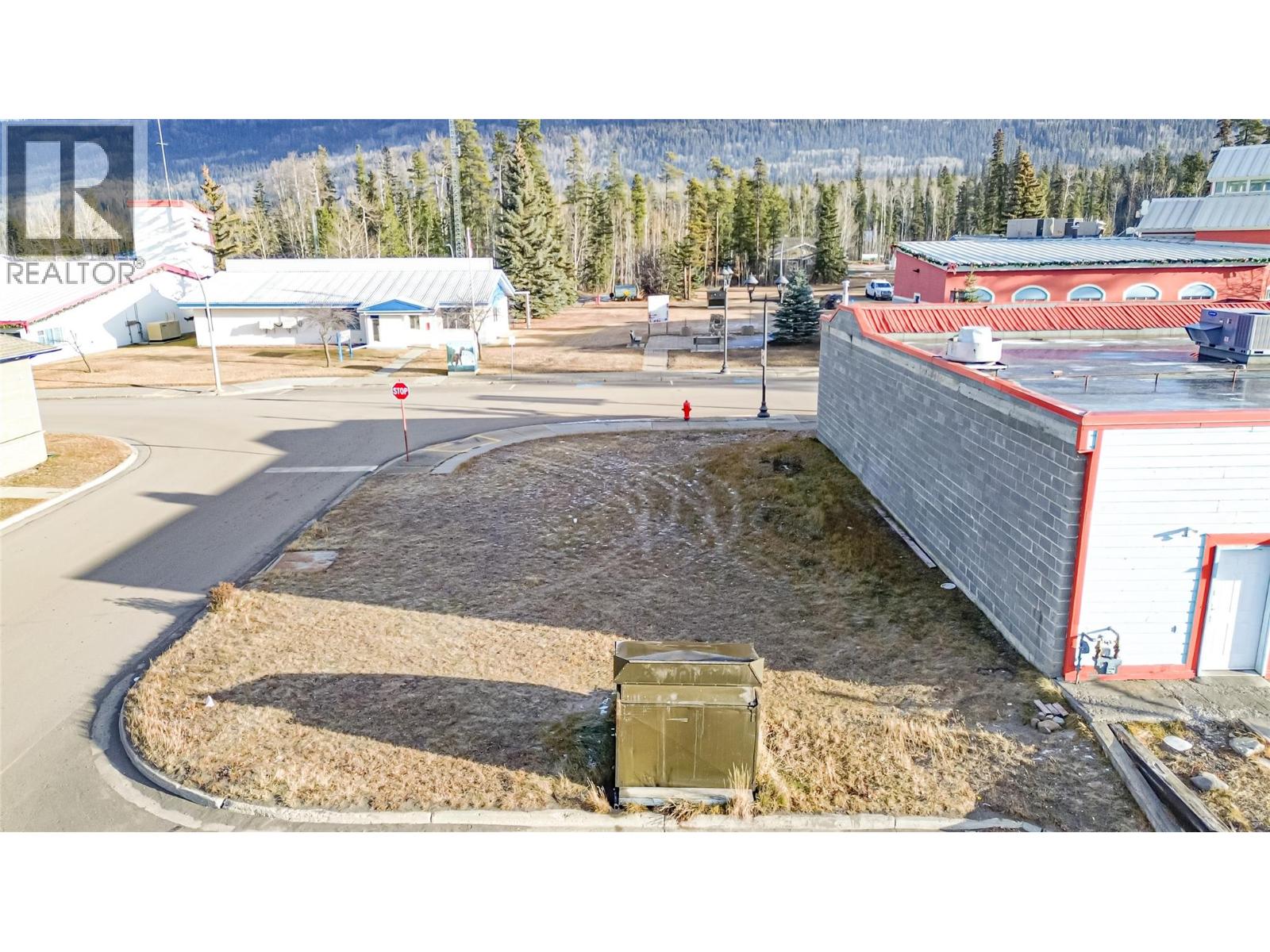 310 Iles Way, Tumbler Ridge, British Columbia  V0C 2W0 - Photo 2 - 10370020