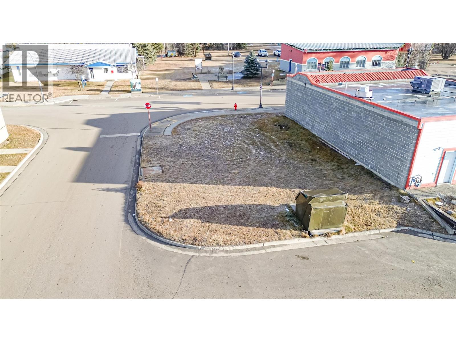 310 Iles Way, Tumbler Ridge, British Columbia  V0C 2W0 - Photo 4 - 10370020