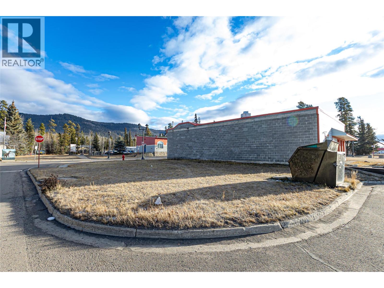 310 Iles Way, Tumbler Ridge, British Columbia  V0C 2W0 - Photo 5 - 10370020