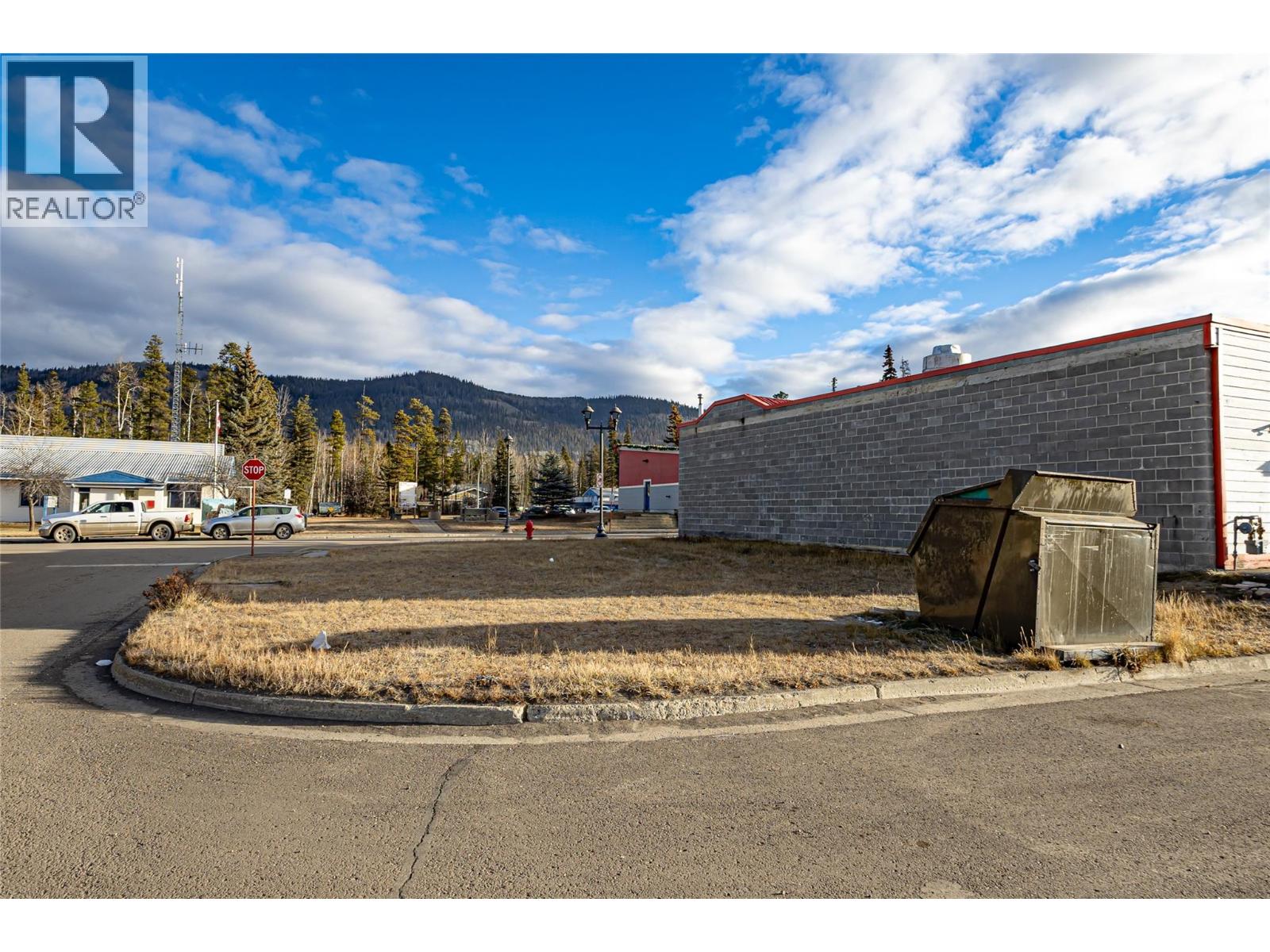310 Iles Way, Tumbler Ridge, British Columbia  V0C 2W0 - Photo 9 - 10370020