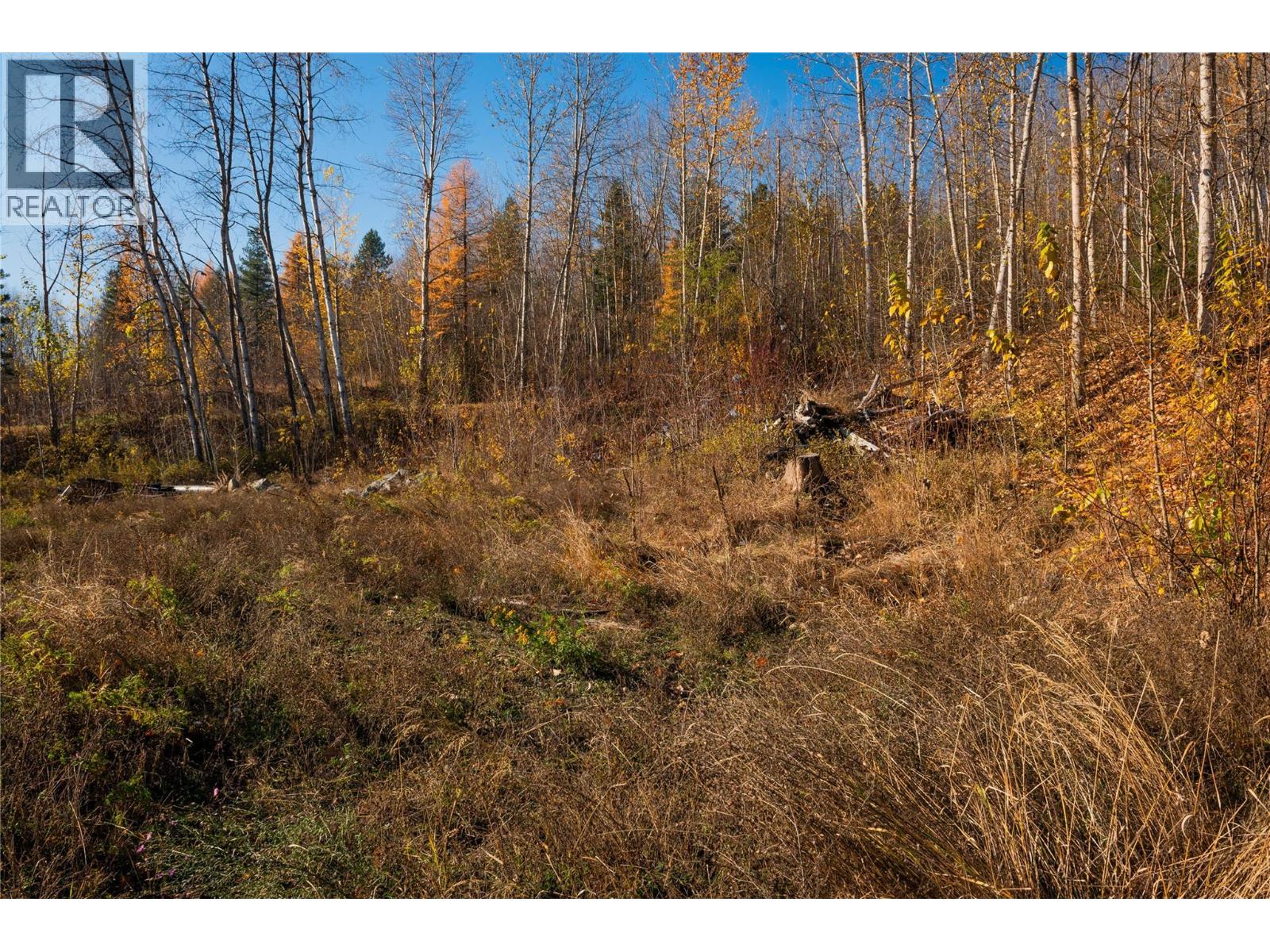 220 Whitman Way, Warfield, British Columbia  V1R 4T9 - Photo 6 - 10370085