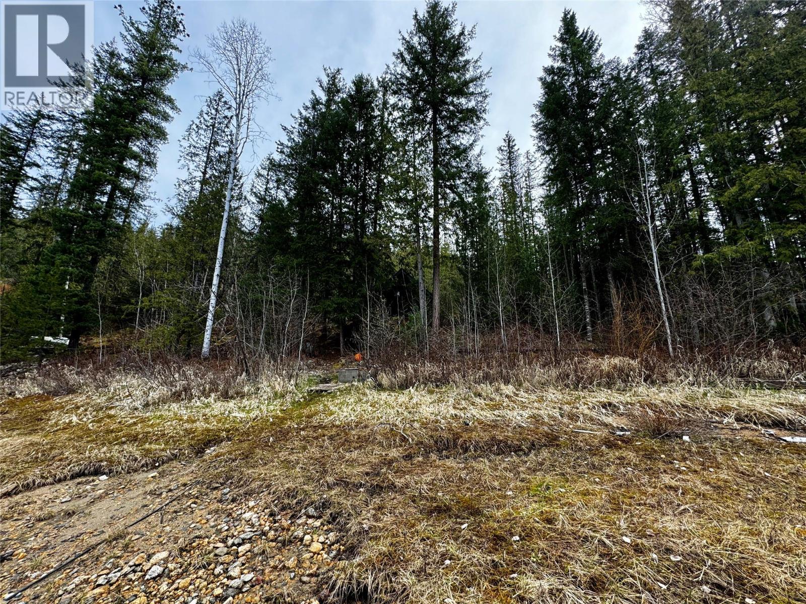 Lot 9 Pete Martin Bay, Sicamous, British Columbia  V0E 2V0 - Photo 11 - 10370166