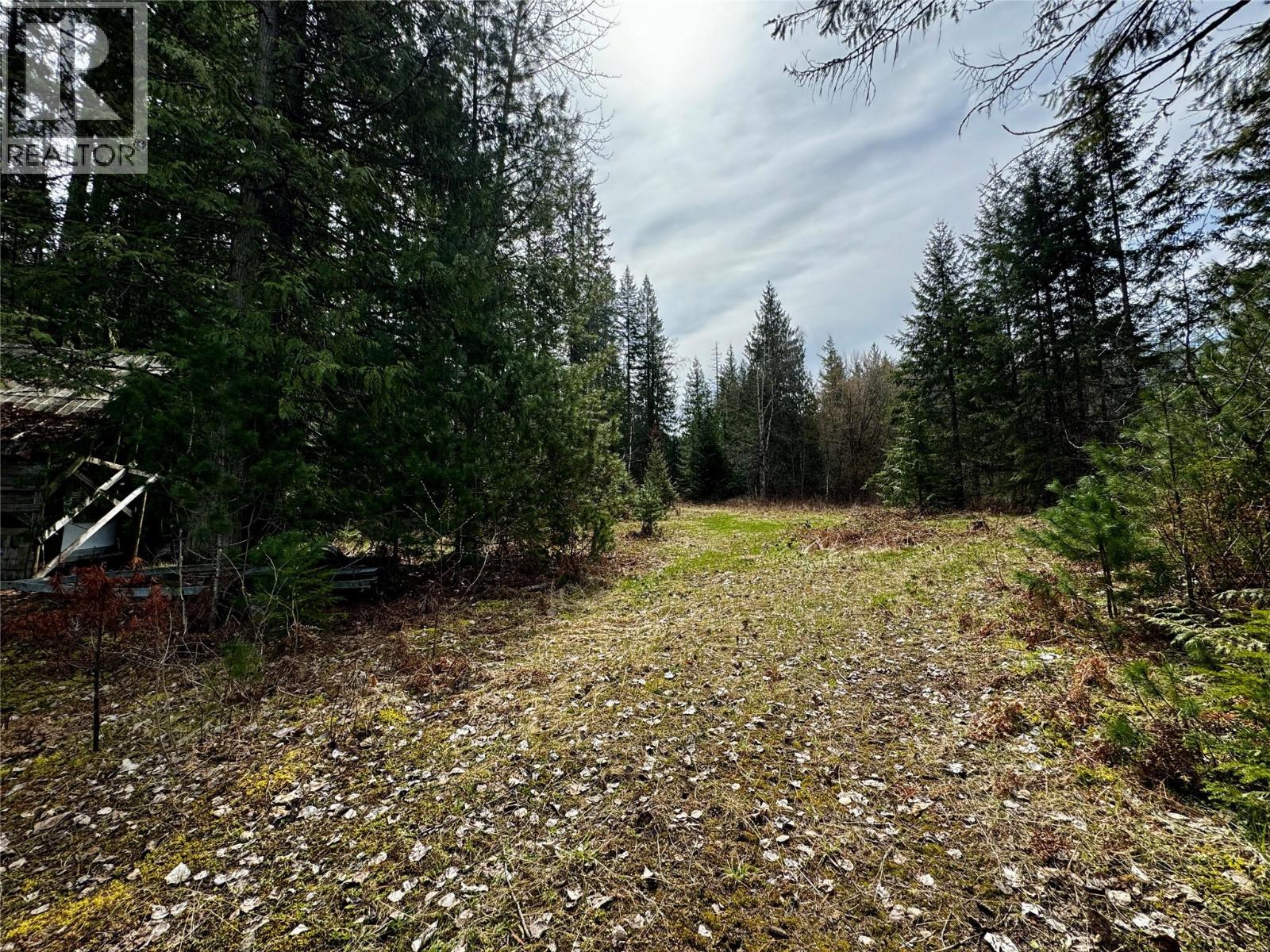Lot 9 Pete Martin Bay, Sicamous, British Columbia  V0E 2V0 - Photo 36 - 10370166