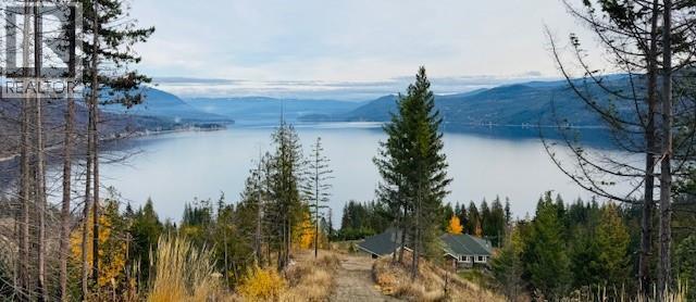 4465 Squilax-Anglemont Road, Scotch Creek, British Columbia  V0E 1M5 - Photo 13 - 10370232