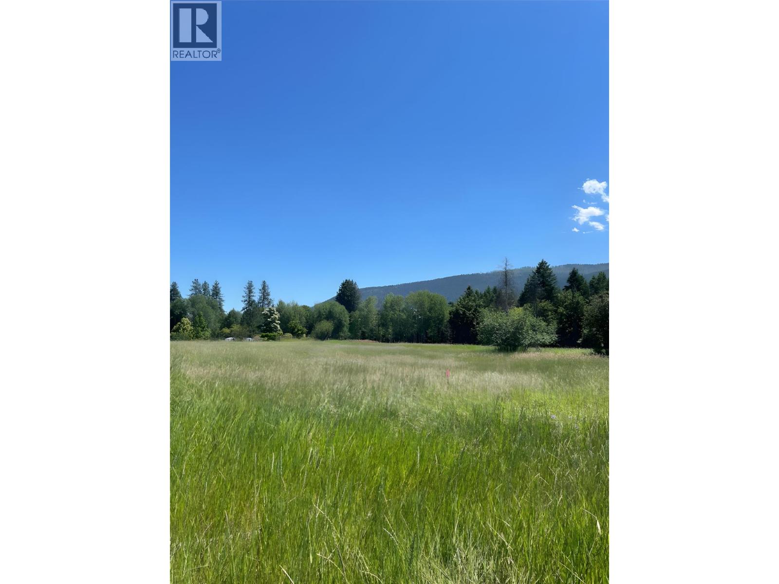 820 64th Avenue, Grand Forks, British Columbia  V0H 1H4 - Photo 2 - 10369864