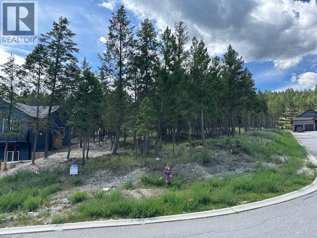 Pineridge Mountain Trail Lot# 74, Invermere, British Columbia  V0A 1K4 - Photo 3 - 10370335