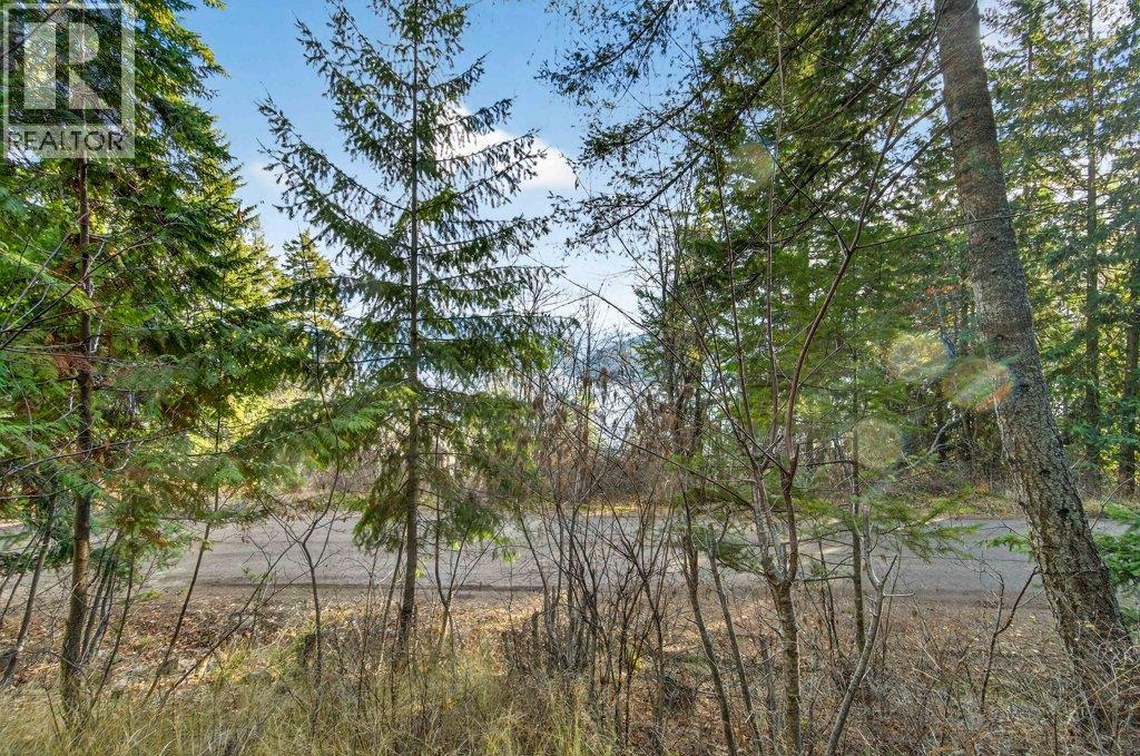 4373 Copper Cove Road, Scotch Creek, British Columbia  V0E 1M5 - Photo 77 - 10370005