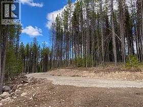 8930 33 Highway Unit# Lot 10, Beaverdell, British Columbia  V1P 1P4 - Photo 3 - 10370391