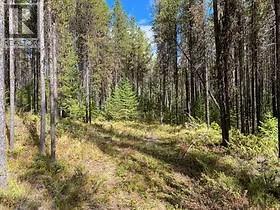 8930 33 Highway Unit# Lot 10, Beaverdell, British Columbia  V1P 1P4 - Photo 4 - 10370391