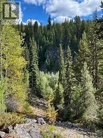 8930 33 Highway Unit# Lot 10, Beaverdell, British Columbia  V1P 1P4 - Photo 5 - 10370391