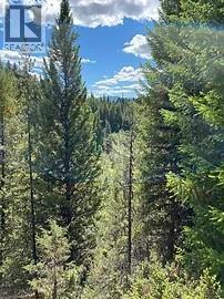 8930 33 Highway Unit# Lot 10, Beaverdell, British Columbia  V1P 1P4 - Photo 6 - 10370391