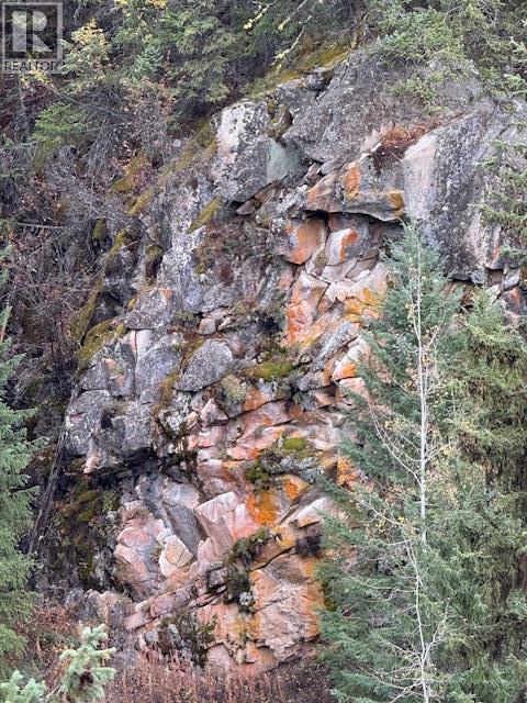 8930 33 Highway Unit# Lot 10, Beaverdell, British Columbia  V1P 1P4 - Photo 7 - 10370391