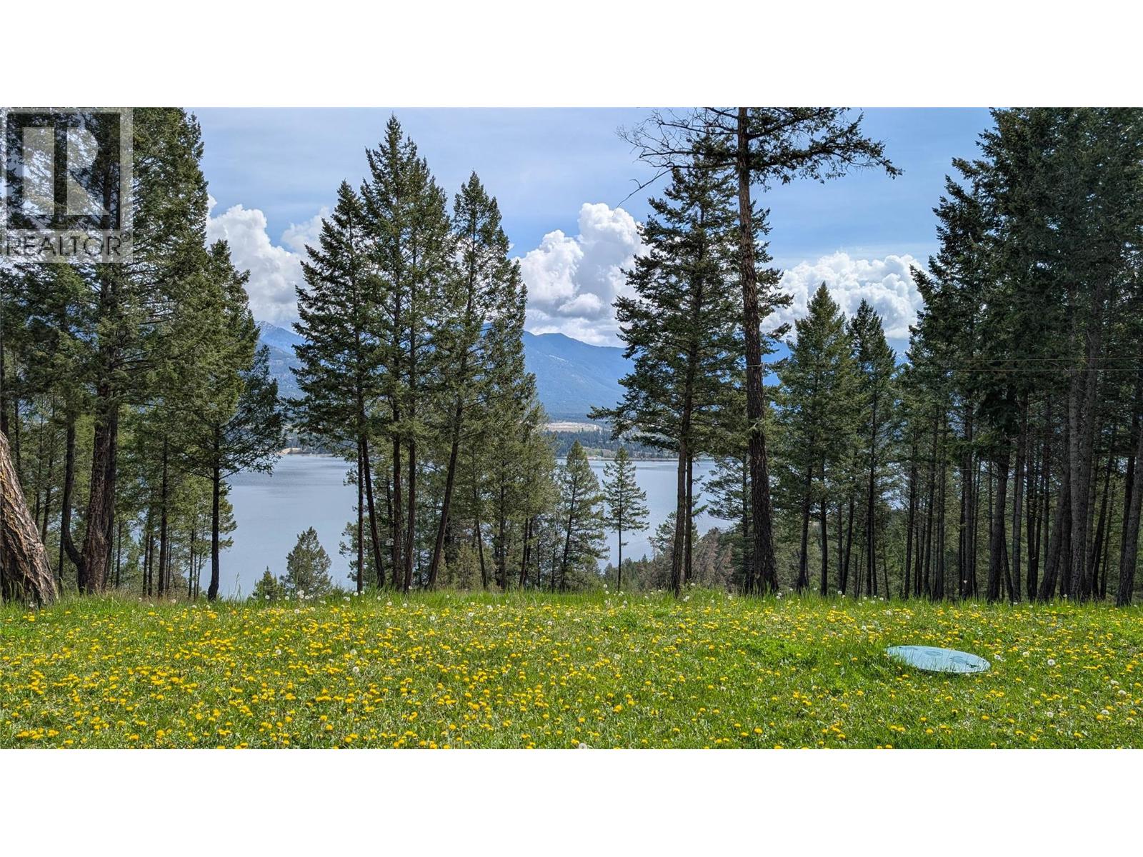 4197 Coy Road, Invermere, British Columbia  V0A 1K4 - Photo 4 - 10370518