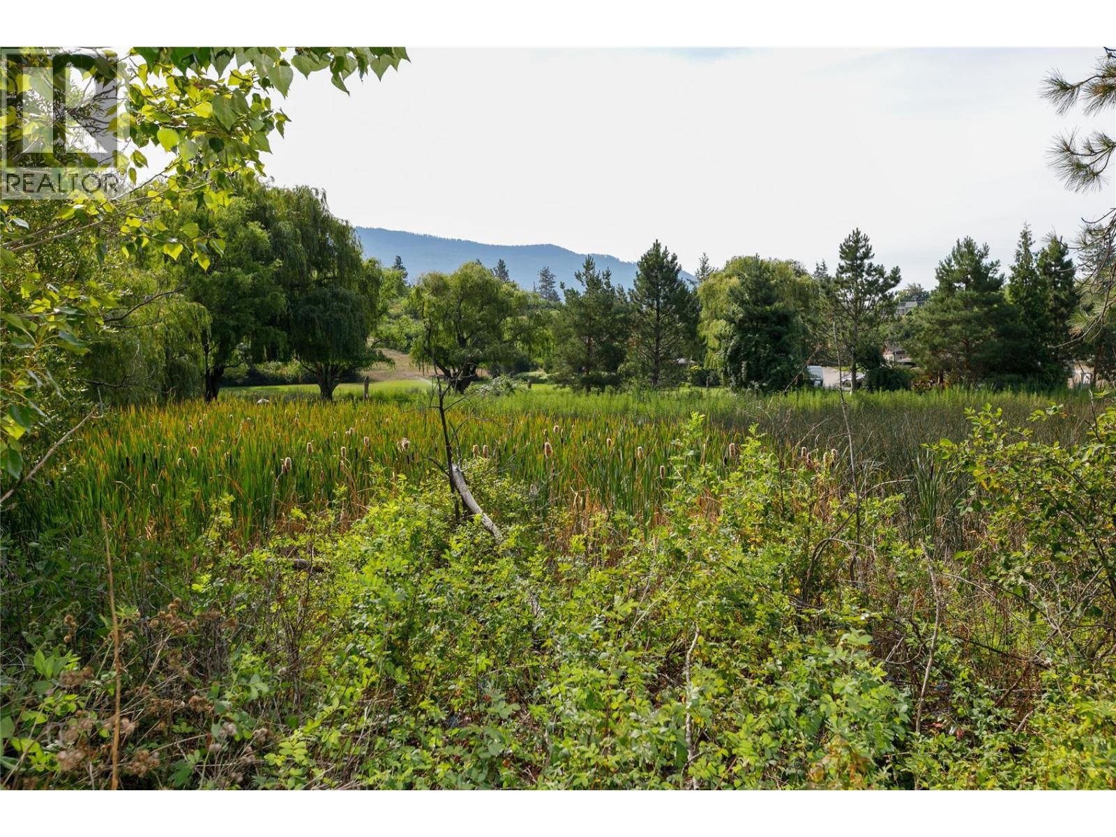 16821 Owl's Nest Road, Oyama, British Columbia  V4V 2E9 - Photo 65 - 10370441