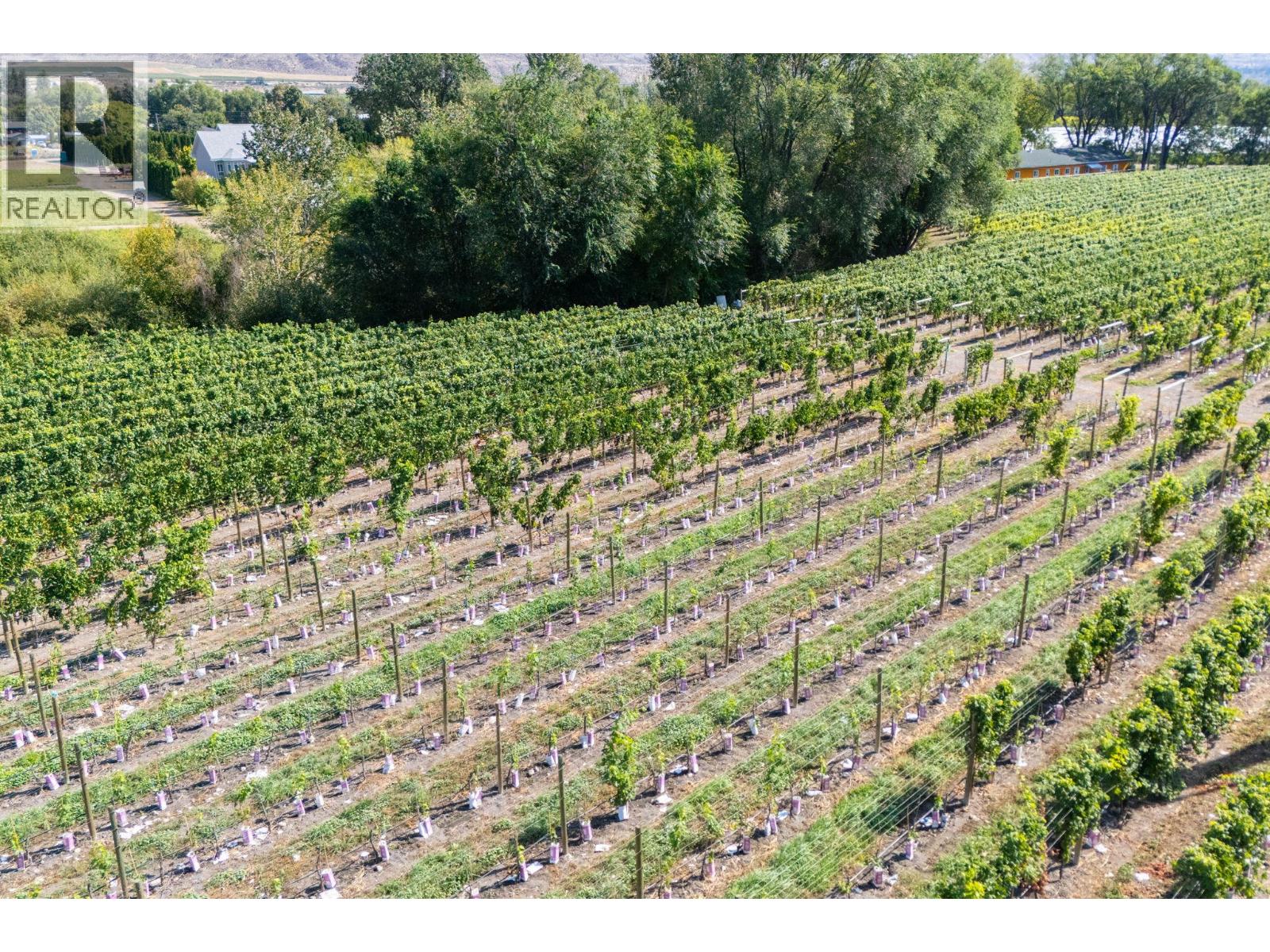 7337 Highway 97, Oliver, British Columbia  V0H 1T5 - Photo 10 - 10363584