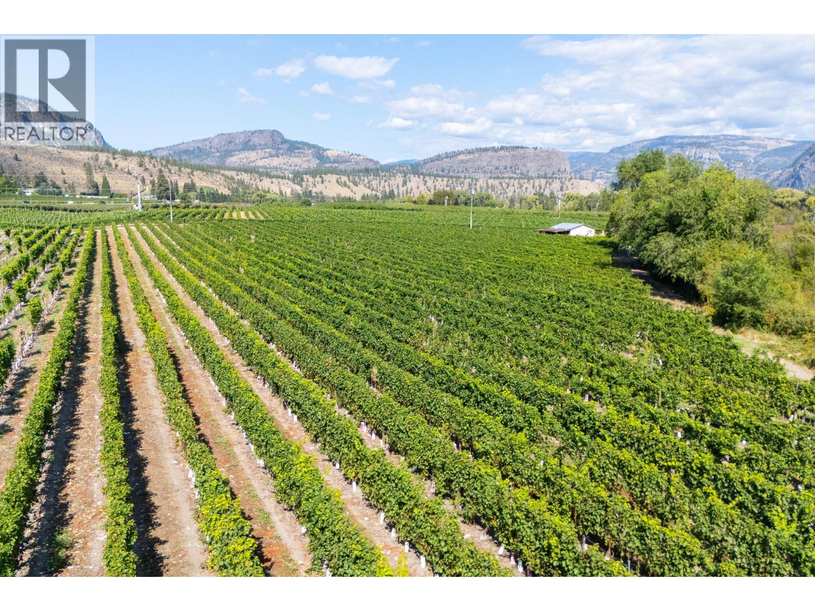 7337 Highway 97, Oliver, British Columbia  V0H 1T5 - Photo 11 - 10363584