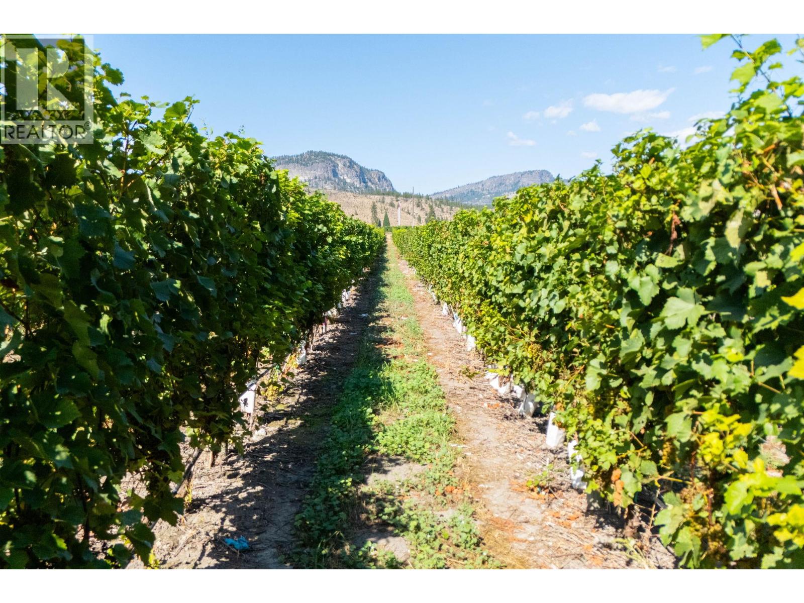 7337 Highway 97, Oliver, British Columbia  V0H 1T5 - Photo 12 - 10363584