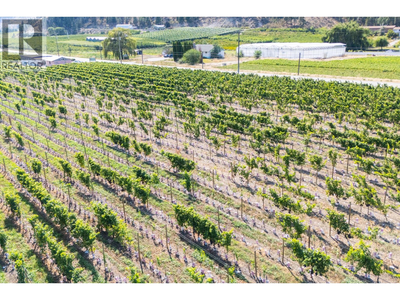 7337 Highway 97, Oliver, British Columbia  V0H 1T5 - Photo 13 - 10363584