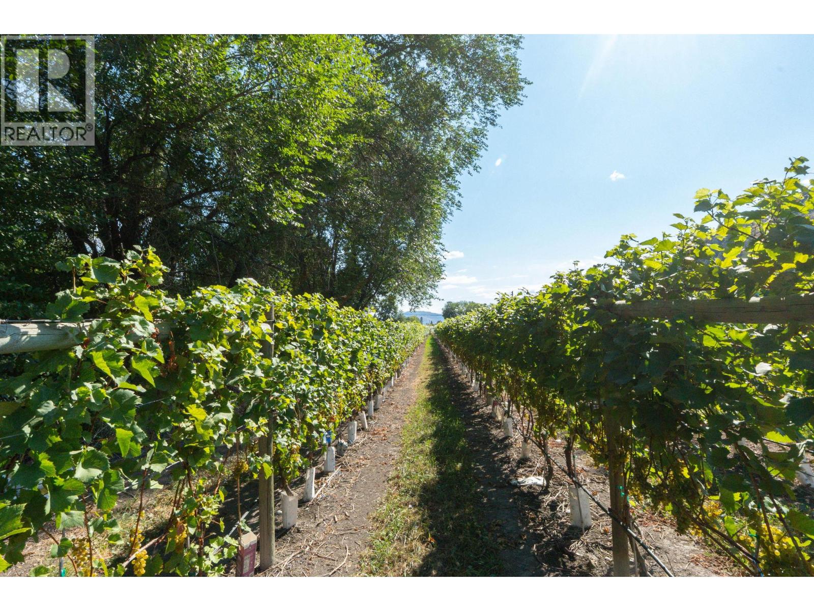 7337 Highway 97, Oliver, British Columbia  V0H 1T5 - Photo 25 - 10363584