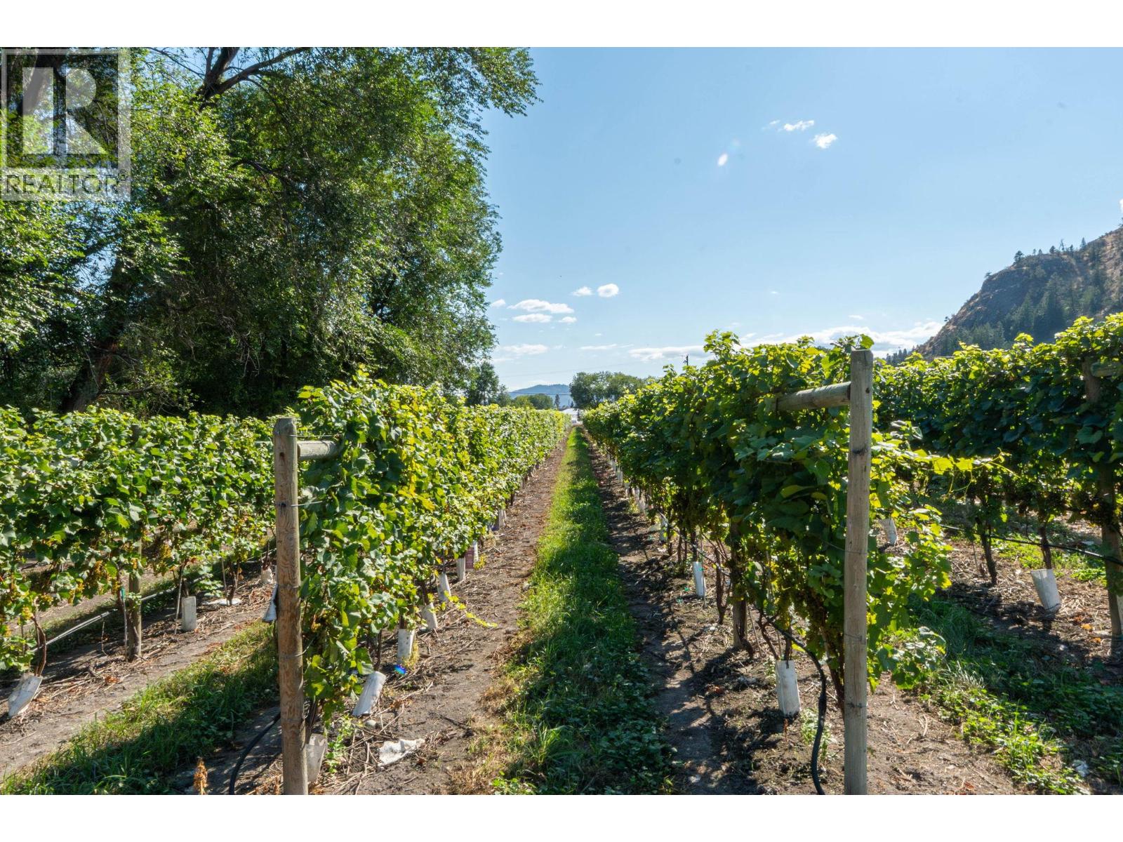 7337 Highway 97, Oliver, British Columbia  V0H 1T5 - Photo 27 - 10363584