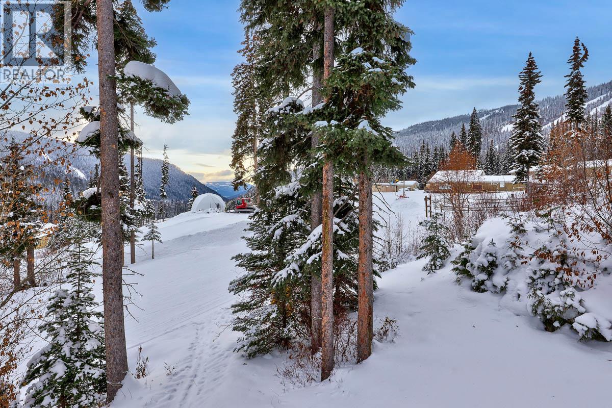 4119 Sundance Drive, Sun Peaks, British Columbia  V0E 5N0 - Photo 35 - 10370641