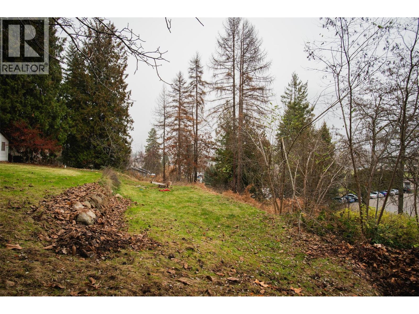 701 10th Avenue, Castlegar, British Columbia  V1N 1K8 - Photo 69 - 10370337