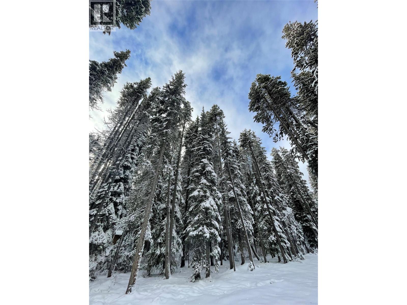 1166 Apex Mountain Road, Penticton, British Columbia  V2A 0E2 - Photo 30 - 10370424