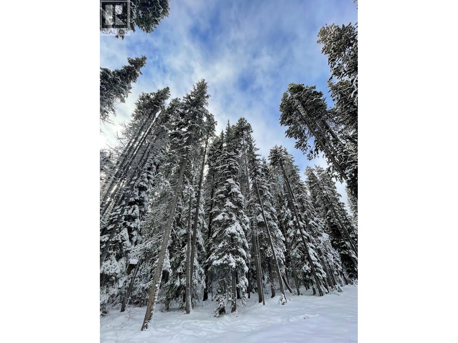 1166 Apex Mountain Road, Penticton, British Columbia  V2A 0E2 - Photo 47 - 10370424