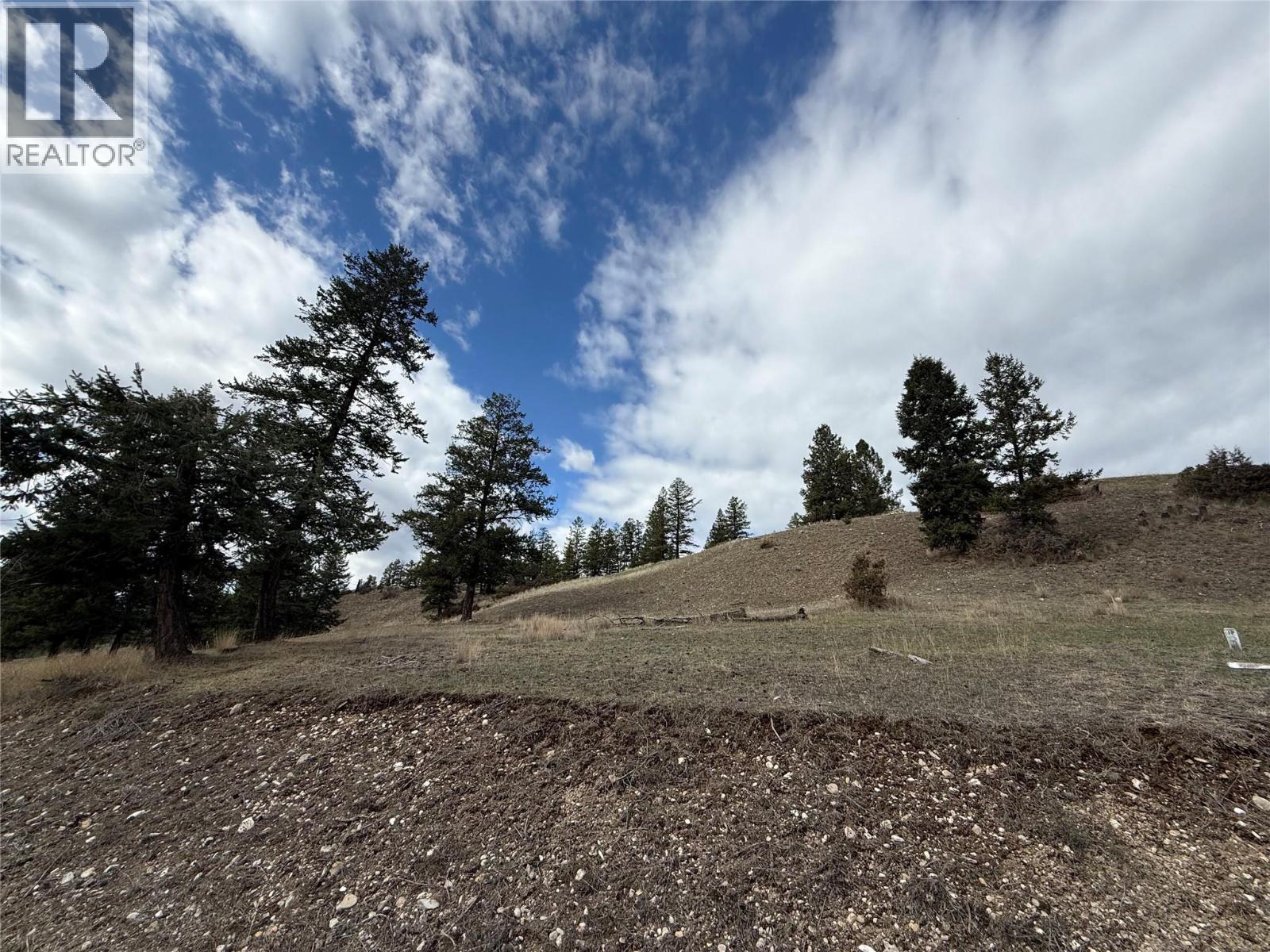 2400 Kootenay Rd No 3 Road Lot# 2, Windermere, British Columbia  V0B 1L1 - Photo 10 - 10370623