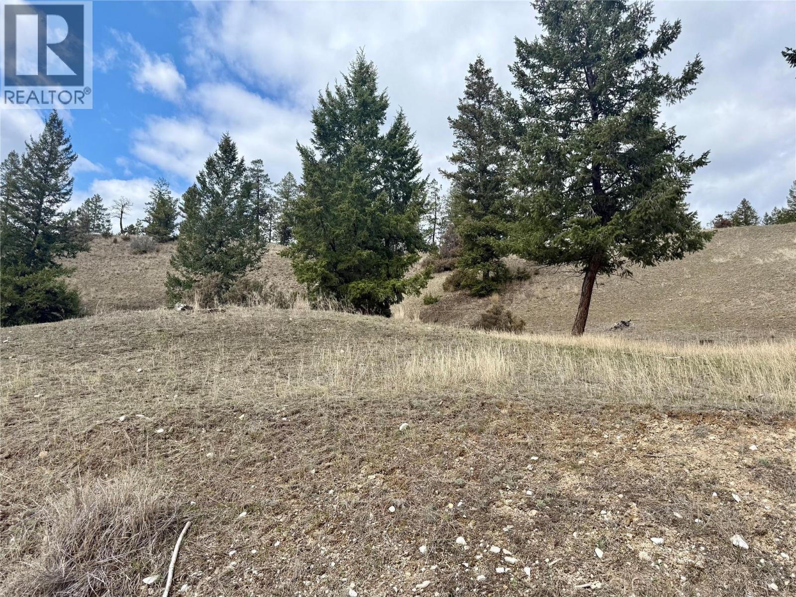 2400 Kootenay Rd No 3 Road Lot# 2, Windermere, British Columbia  V0B 1L1 - Photo 12 - 10370623