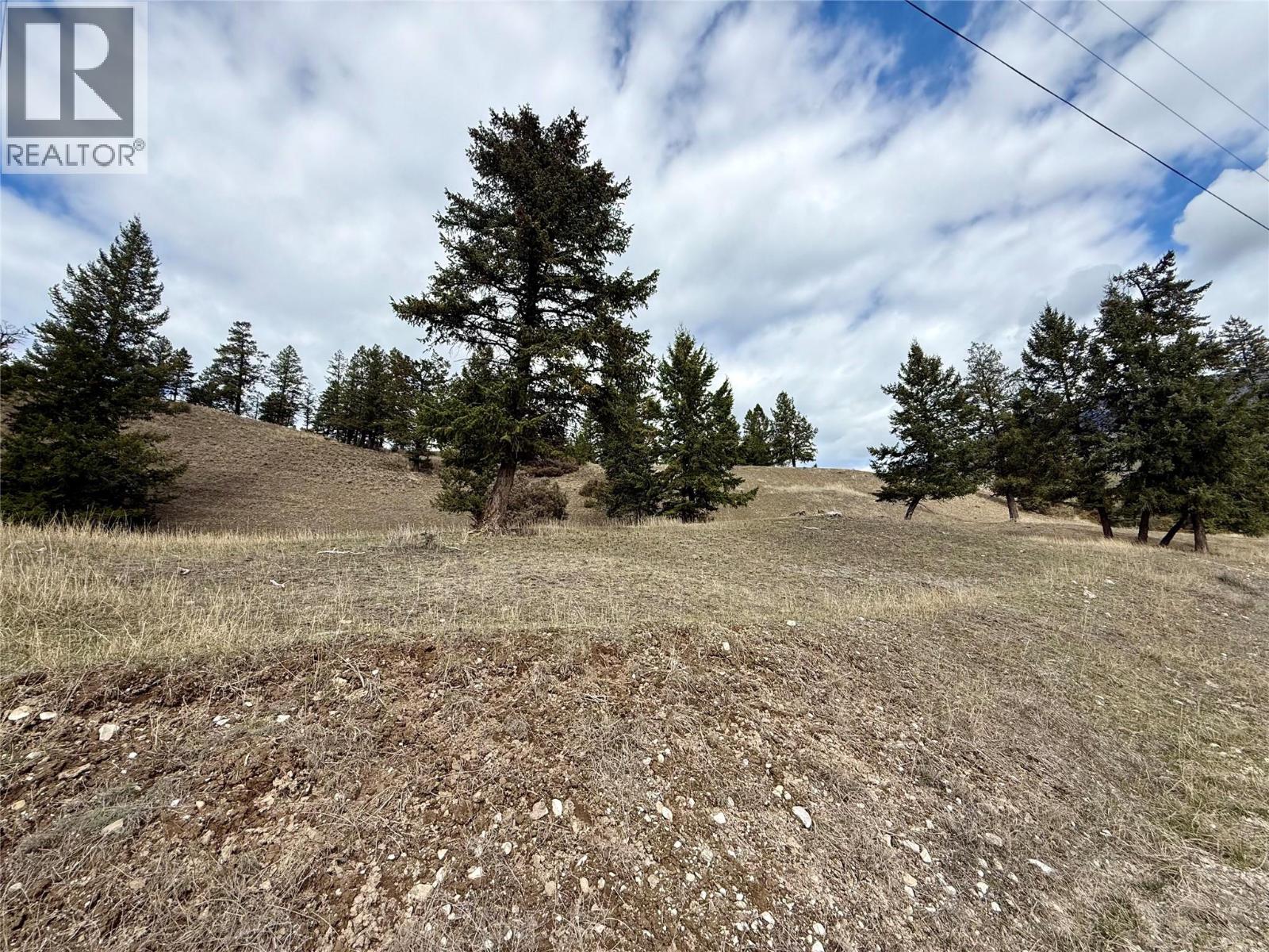 2400 Kootenay Rd No 3 Road Lot# 2, Windermere, British Columbia  V0B 1L1 - Photo 13 - 10370623