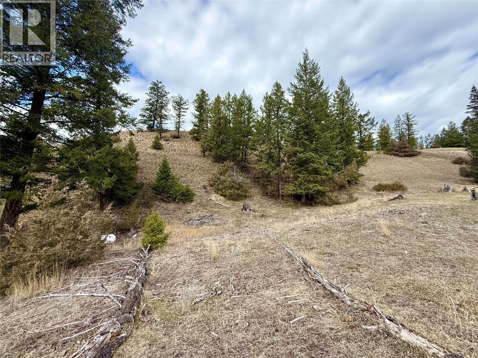2400 Kootenay Rd No 3 Road Lot# 2, Windermere, British Columbia  V0B 1L1 - Photo 15 - 10370623