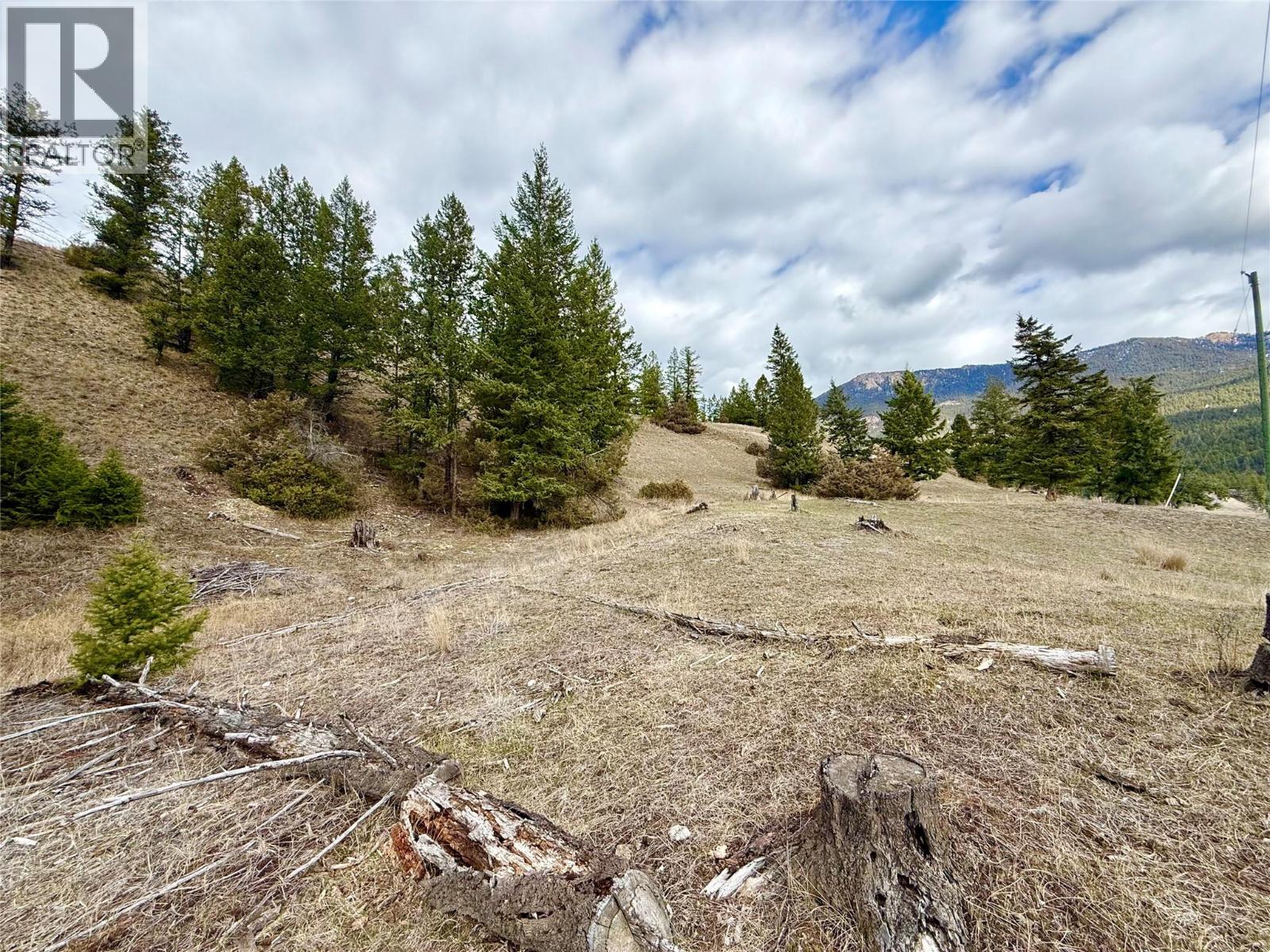 2400 Kootenay Rd No 3 Road Lot# 2, Windermere, British Columbia  V0B 1L1 - Photo 16 - 10370623