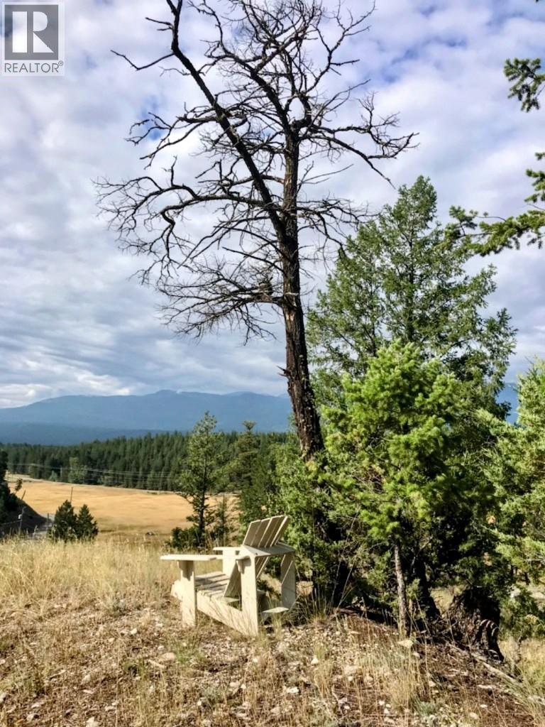 2400 Kootenay Rd No 3 Road Lot# 2, Windermere, British Columbia  V0B 1L1 - Photo 38 - 10370623
