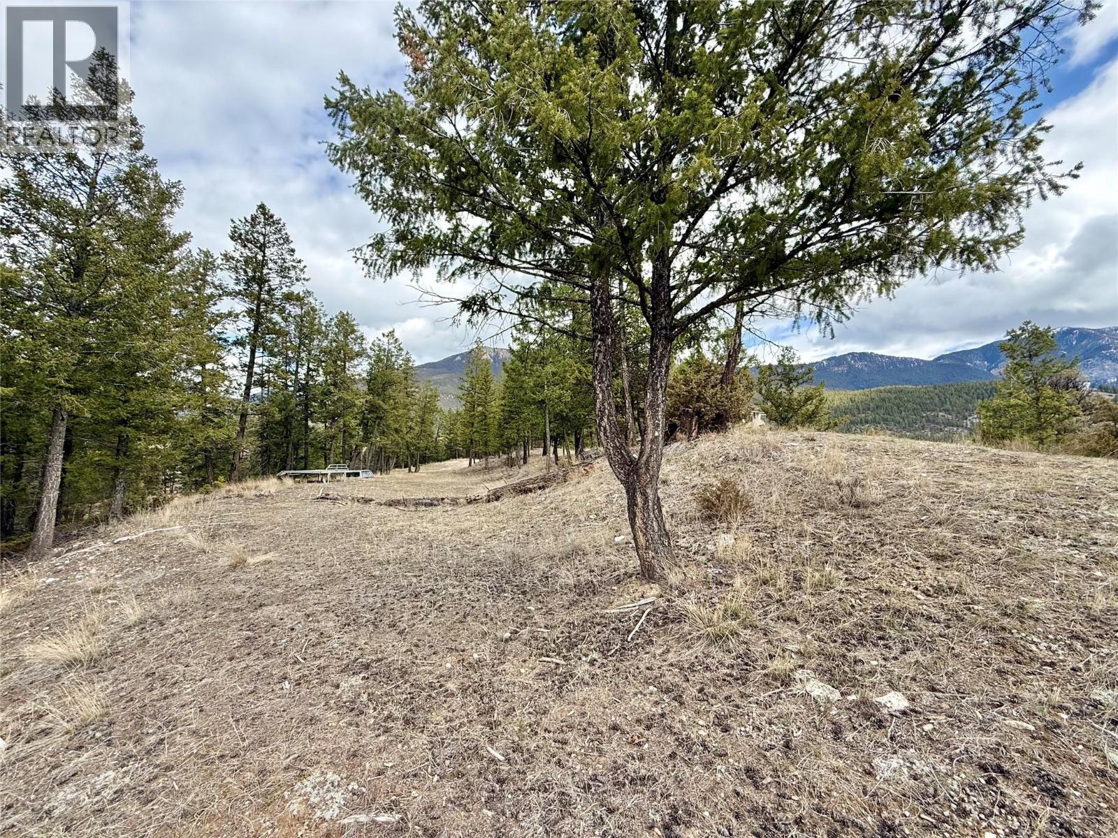 2400 Kootenay Rd No 3 Road Lot# 2, Windermere, British Columbia  V0B 1L1 - Photo 4 - 10370623