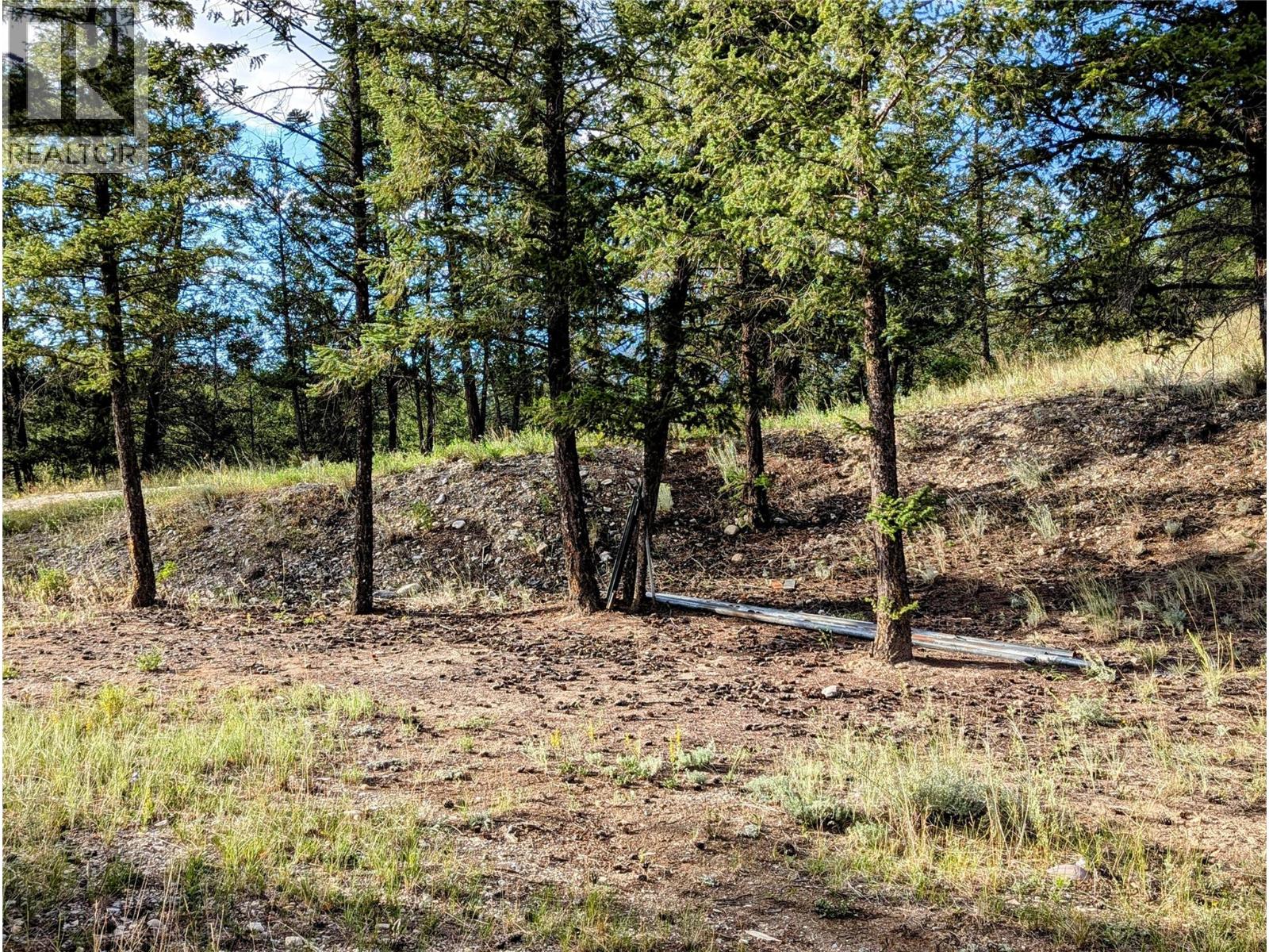 2400 Kootenay Rd No 3 Road Lot# 2, Windermere, British Columbia  V0B 1L1 - Photo 42 - 10370623