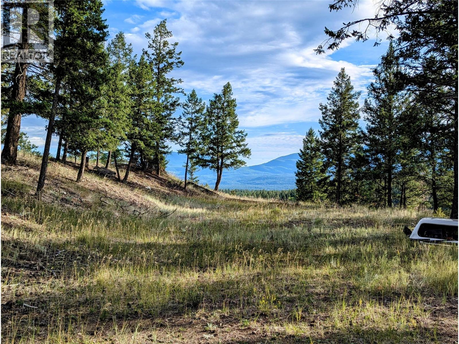 2400 Kootenay Rd No 3 Road Lot# 2, Windermere, British Columbia  V0B 1L1 - Photo 45 - 10370623