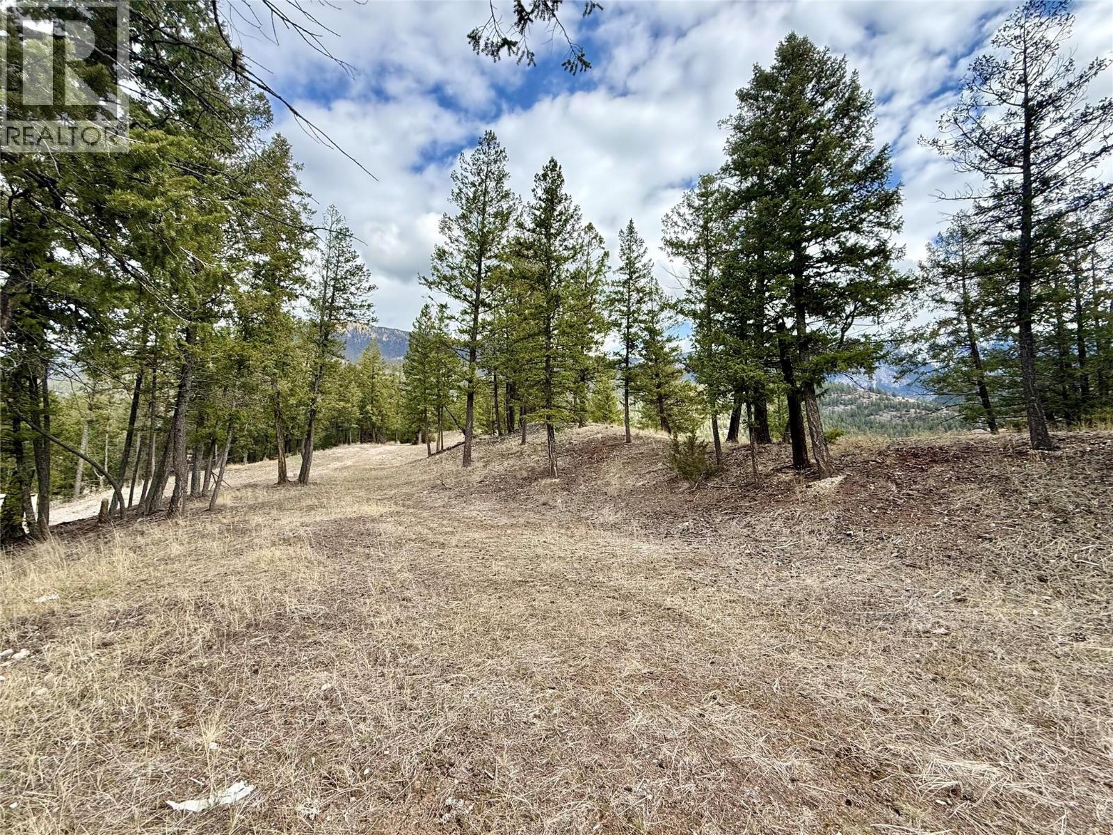 2400 Kootenay Rd No 3 Road Lot# 2, Windermere, British Columbia  V0B 1L1 - Photo 6 - 10370623