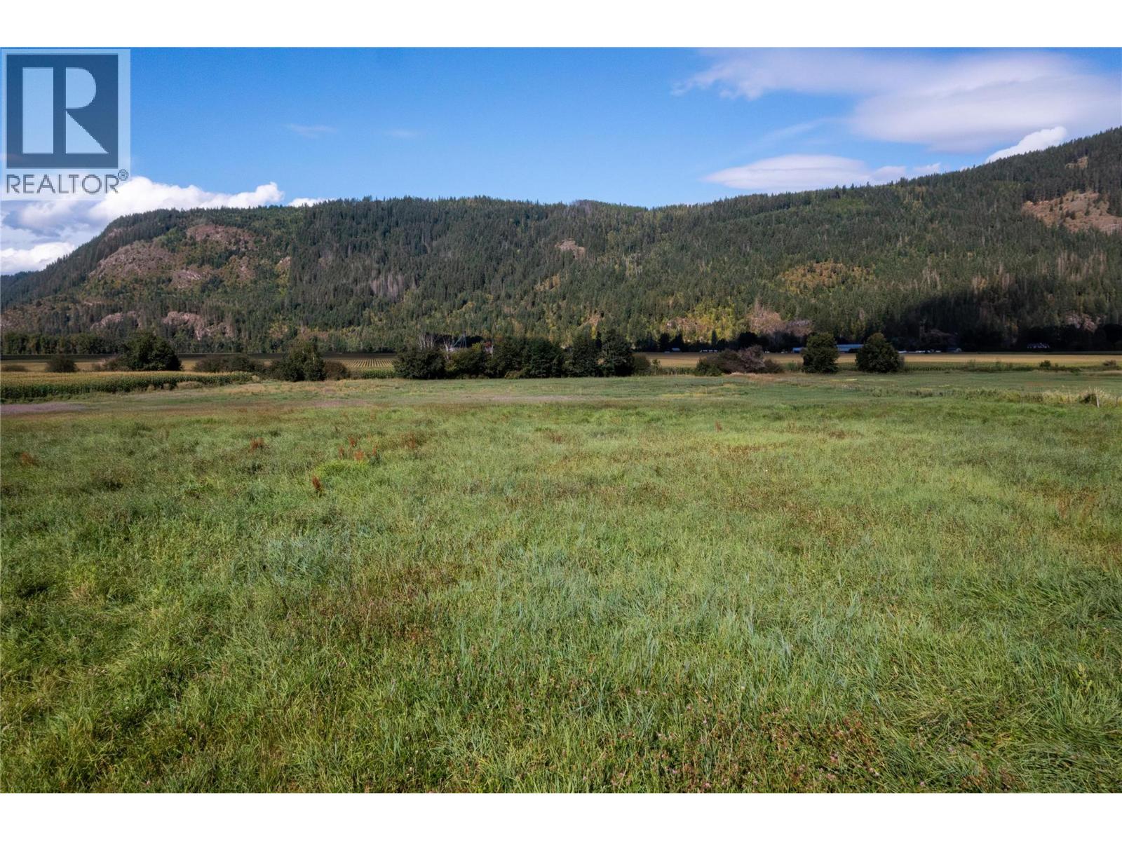 7630 97a Highway, Mara, British Columbia  V0E 2K0 - Photo 47 - 10370680